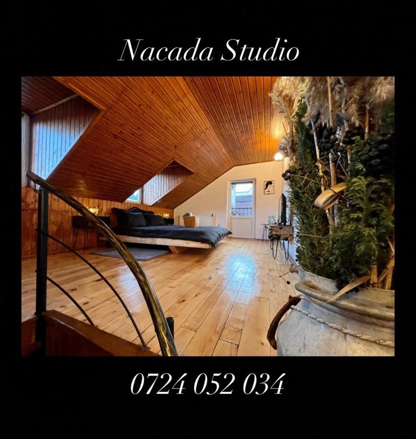 锡吉什瓦拉Nacada Studio By Hyco公寓 外观 照片